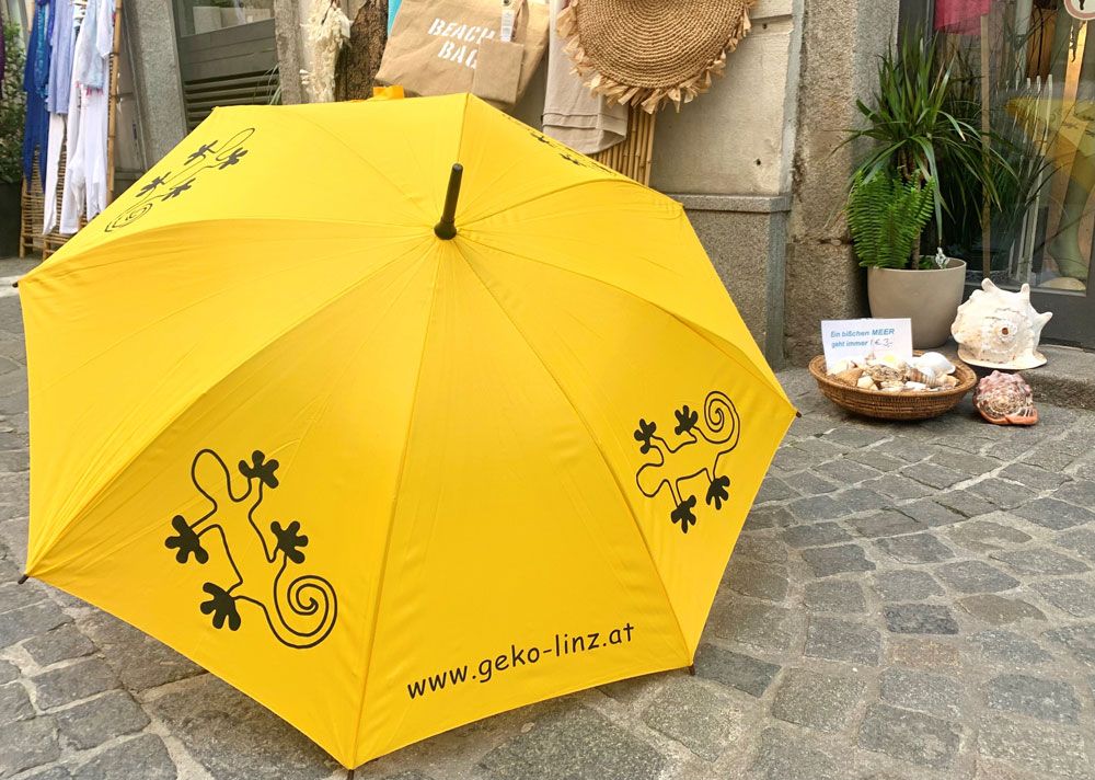 Bild: offers/1622633558_geko-schirm.jpg