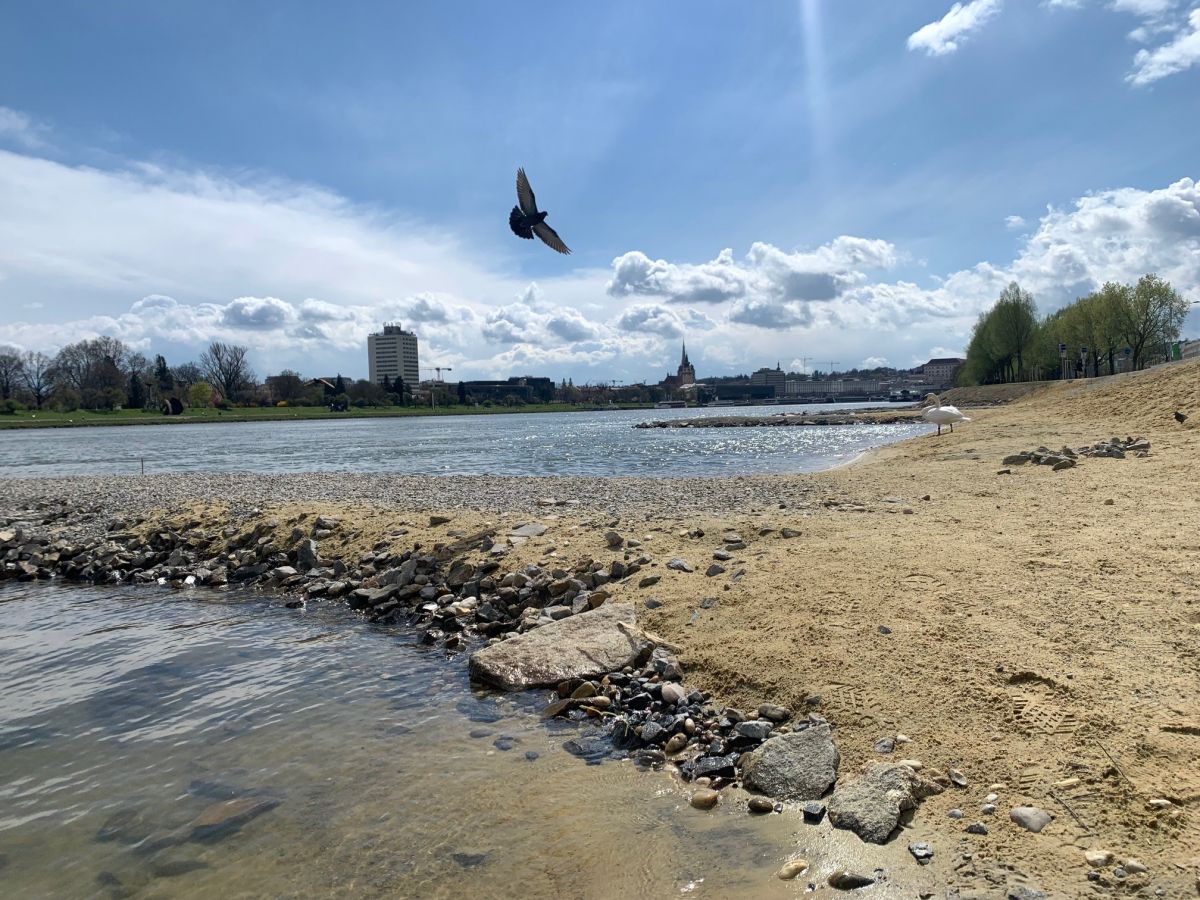 Bild: quiz/donauufer-visitlinz-fl.jpg